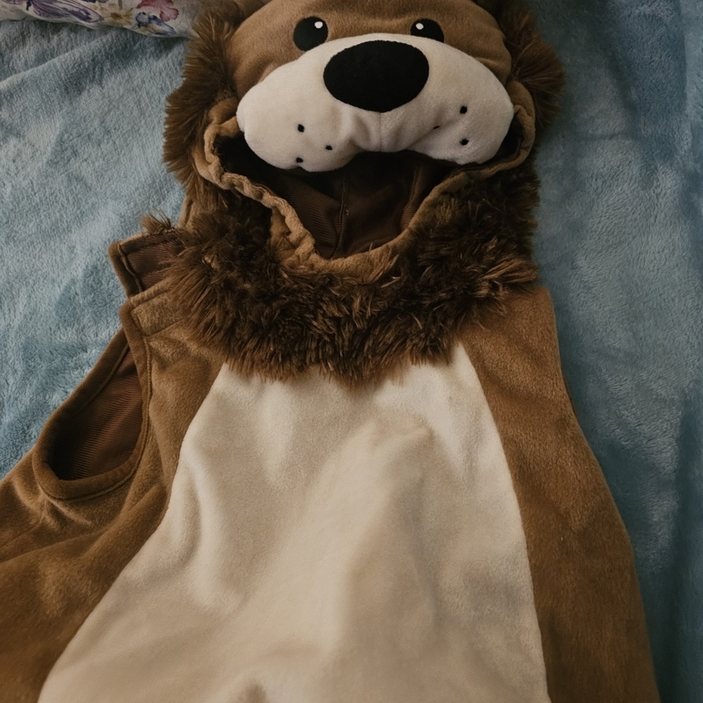 Adorable Lion Costume for Kids - Picture 4 of 7